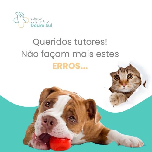 Carousel post from clinica_veterinaria_dourosul.