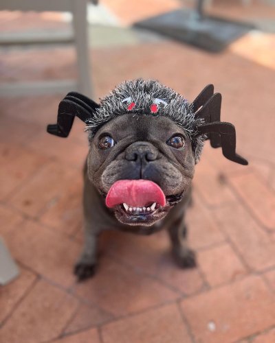 Carousel post from visittucson.
