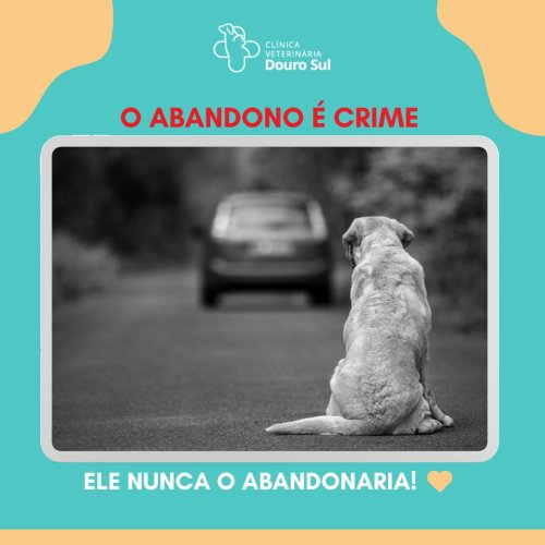 Photo post from clinica_veterinaria_dourosul.