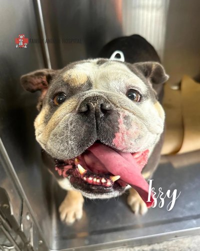 Carousel post from familyanimalhospitalcm.