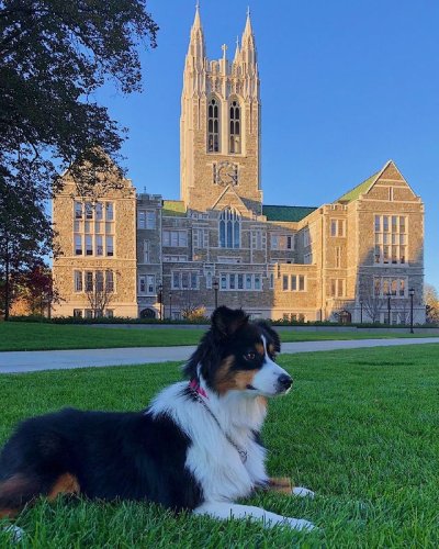 Photo post from bostoncollege.