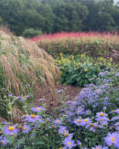 Photo post from sussexprairies.