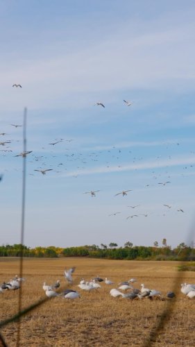 Video post from northernskiesoutfitters.