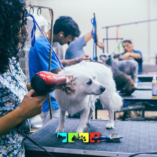 Photo post from medicalpettj.