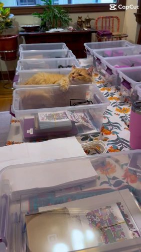 Video post from denfringe.