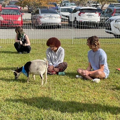 Carousel post from uscbstudentlife.