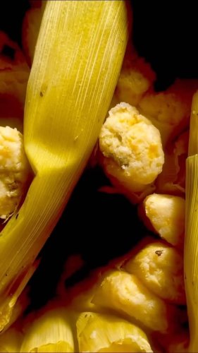 Video post from visittucson.