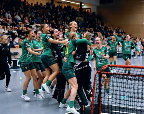 Carousel post from kauppitwins.