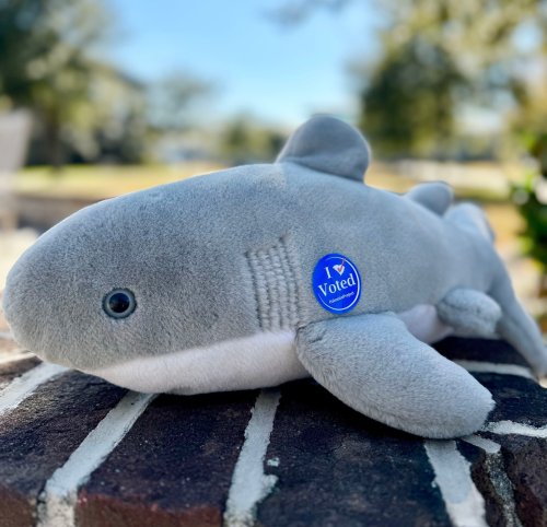 Photo post from uscbeaufort.