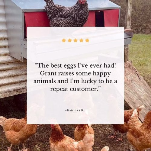 Video post from hungryhollowfarm.