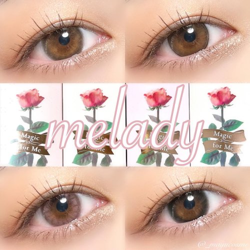 Idol Ring（アイドルリング）ワンデー │【公式】melady