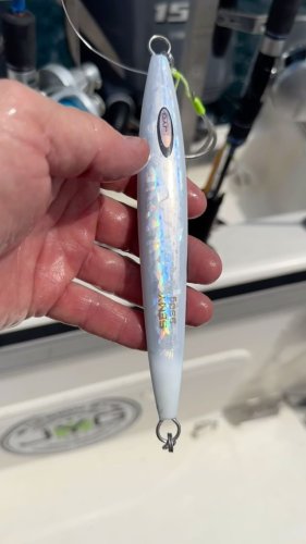 Video post from ejs_fishing_charters.