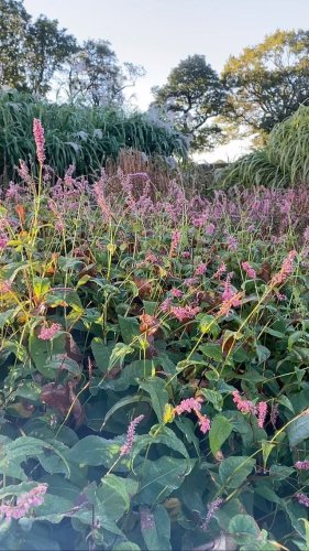 Video post from sussexprairies.