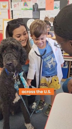 Video post from banfieldpethospital.