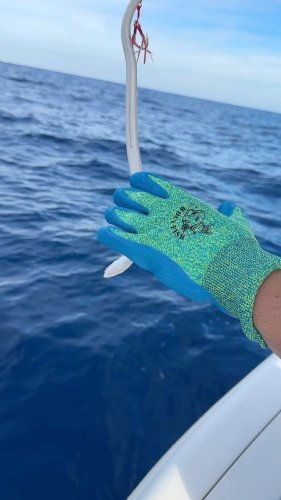 Video post from ejs_fishing_charters.