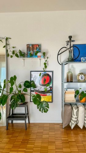 Video post from ricardo_ch.