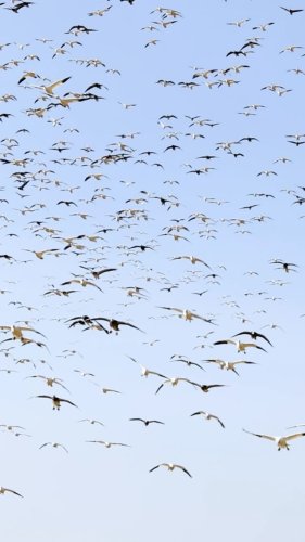 Video post from northernskiesoutfitters.