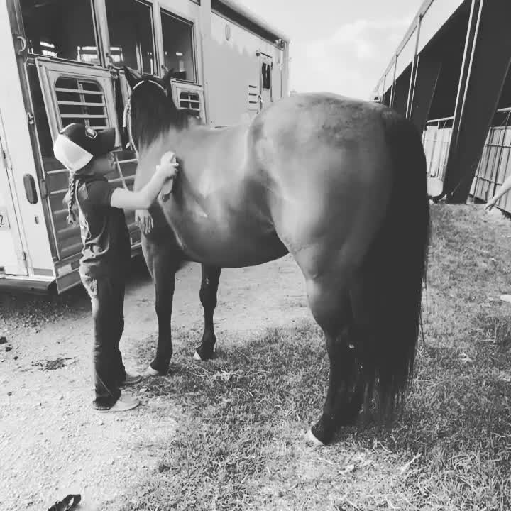 Video post from reddirthatco.