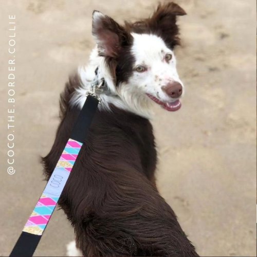 Carousel post from furrypeeps.