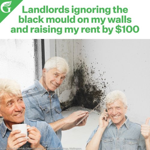 Photo post from nzgreenparty.