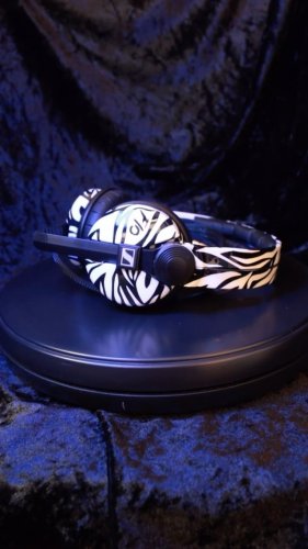Video post from customcans_headphones.
