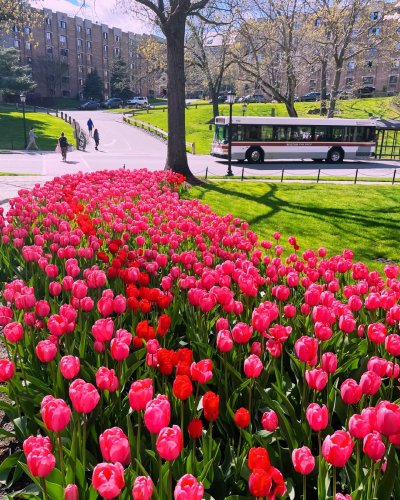 Photo post from bostoncollege.