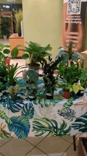 Video post from mac_harboreast.