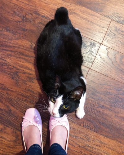 Photo post from margaritabloom.