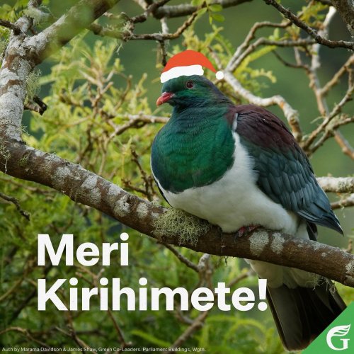 Photo post from nzgreenparty.