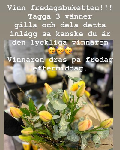 Photo post from blomsterborsen.