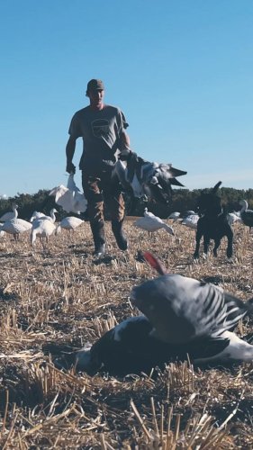 Video post from northernskiesoutfitters.