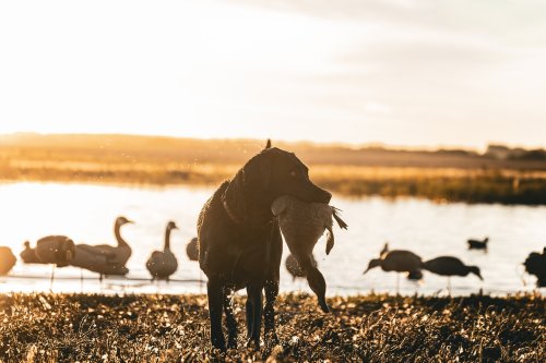 Photo post from northernskiesoutfitters.