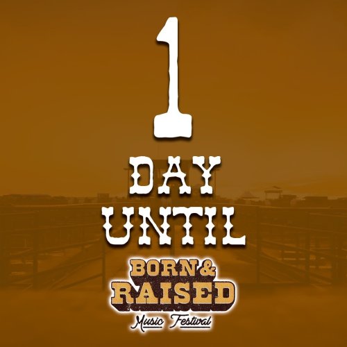 Photo post from reddirthatco.