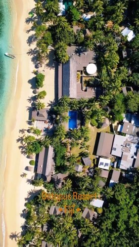 Video post from octopusresort.