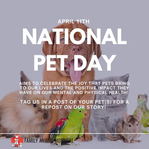 Photo post from familyanimalhospitalcm.