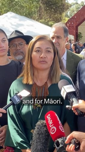 Video post from nzgreenparty.