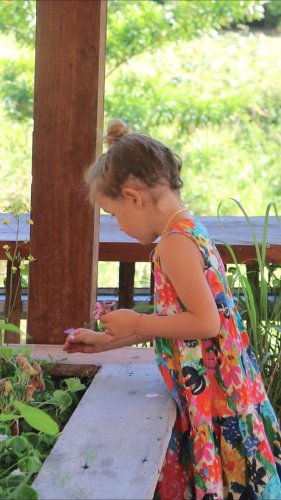 Video post from currumbinvalleyharvest.