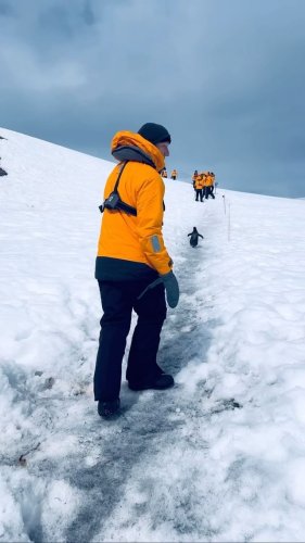 Video post from wouterkellerman.