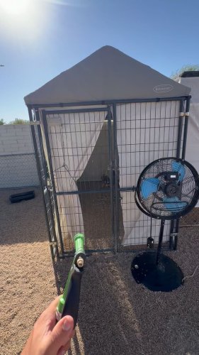 Video post from desertkingsfalconry.
