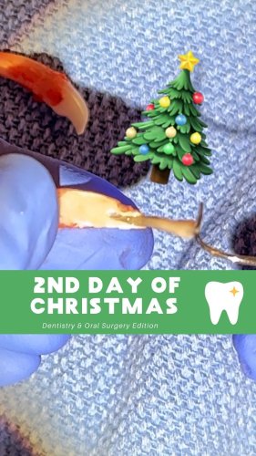 Video post from toothy.thomson.