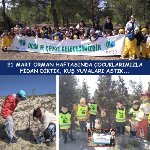 Photo post from dogavecevrevakfi.