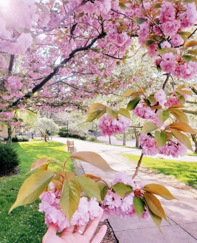 Photo post from bostoncollege.