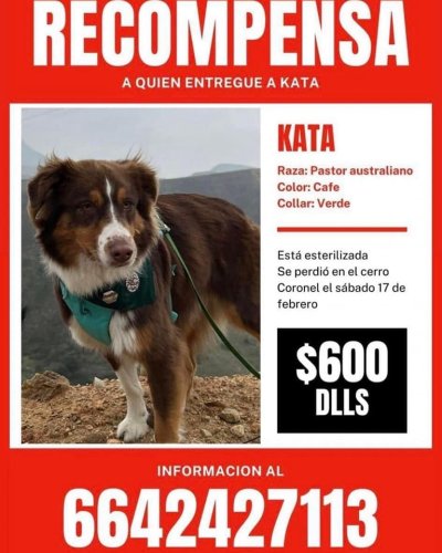 Carousel post from medicalpettj.