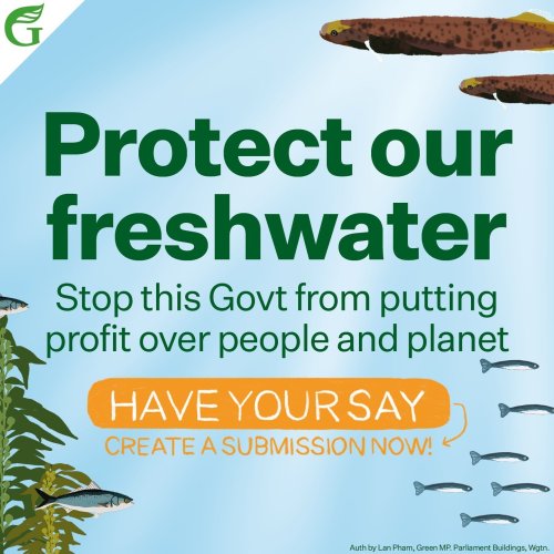 Photo post from nzgreenparty.