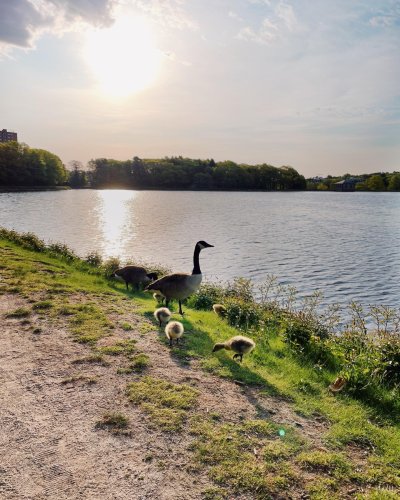 Photo post from bostoncollege.