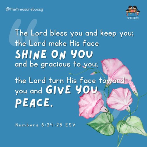 Photo post from thetreasureboxsg.