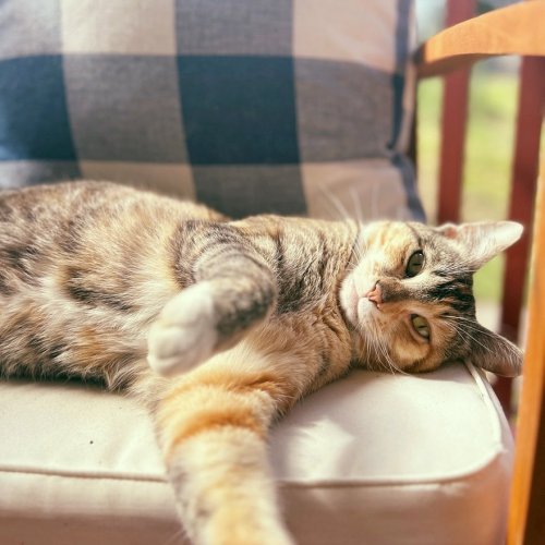 Photo post from hungryhollowfarm.