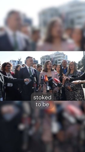 Video post from nzgreenparty.