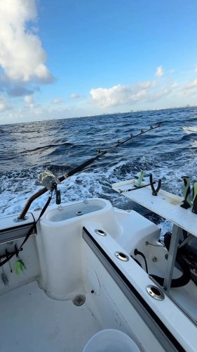 Video post from ejs_fishing_charters.