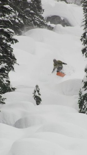 Video post from libtechnologies.